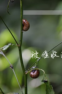 被催收逾期原因怎么说 被催收逾期原因怎么说