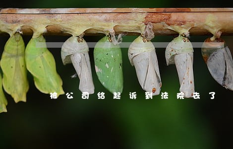 被公司给起诉到法院去了 被公司给起诉到法院去了