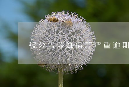 被公告涉嫌借款严重逾期 被公告涉嫌借款严重逾期