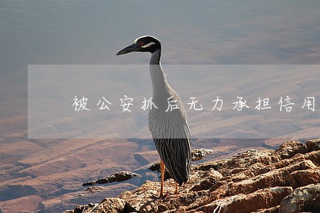 被公安抓后无力承担信用卡逾期 被公安抓后无力承担信用卡逾期