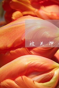 被关押坐牢网贷逾期