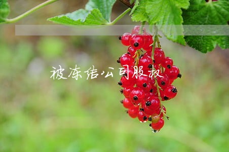被冻结公司股权