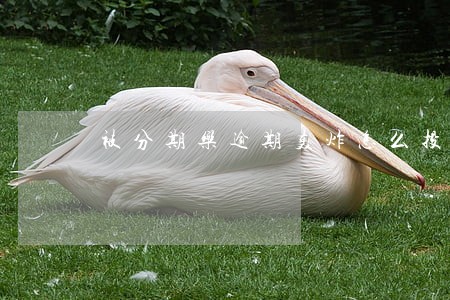 被分期乐逾期轰炸怎么投诉