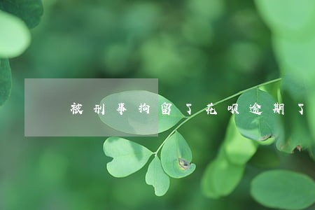 被刑事拘留了花呗逾期了怎么办