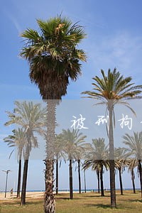 被刑拘信用卡逾期征信会受影响吗