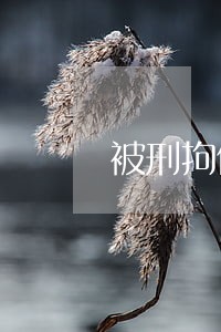 被刑拘信用卡逾期怎么办 被刑拘信用卡逾期怎么办