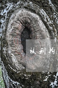 被刑拘的人信用卡逾期怎么处理 被刑拘的人信用卡逾期怎么处理