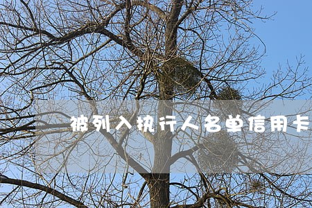 被列入执行人名单信用卡逾期 被列入执行人名单信用卡逾期