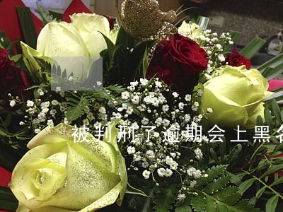 被判刑了逾期会上黑名单吗 被判刑了逾期会上黑名单吗