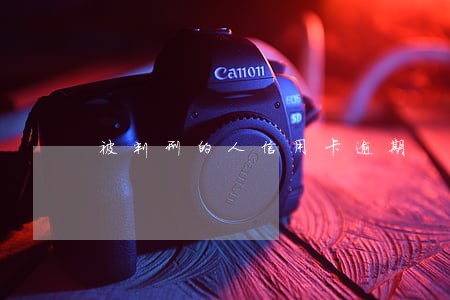 被判刑的人信用卡逾期 被判刑的人信用卡逾期