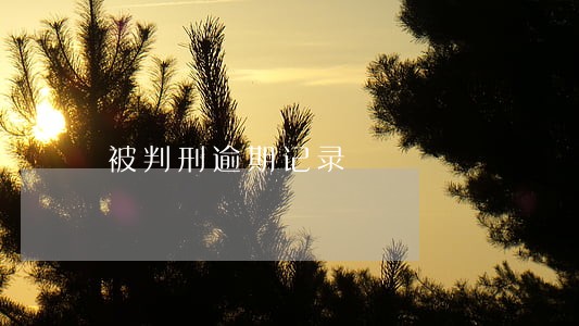 被判刑逾期记录