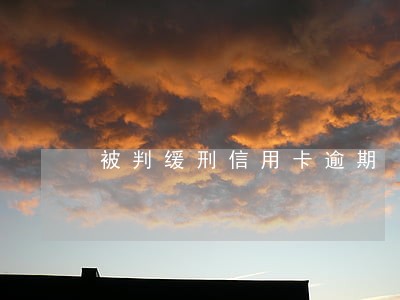 被判缓刑信用卡逾期