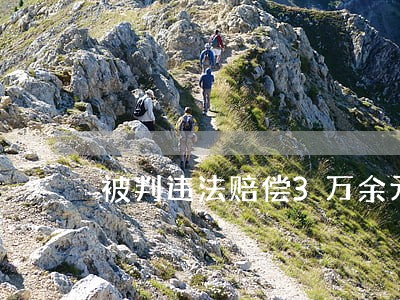 被判违法赔偿3万余元 被判违法赔偿3万余元