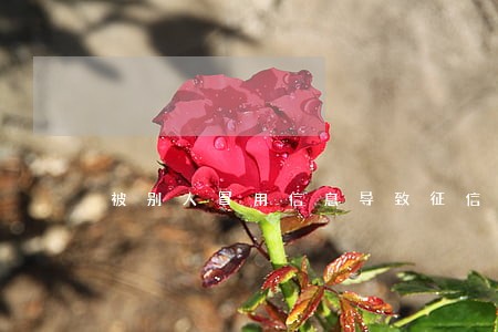 被别人冒用信息导致征信逾期 被别人冒用信息导致征信逾期