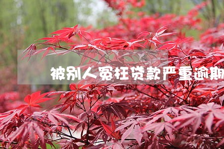 被别人冤枉贷款严重逾期 被别人冤枉贷款严重逾期