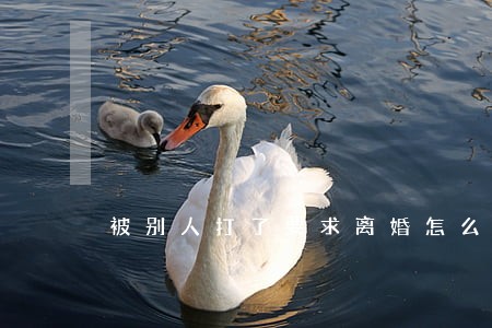 被别人打了要求离婚怎么办 被别人打了要求离婚怎么办