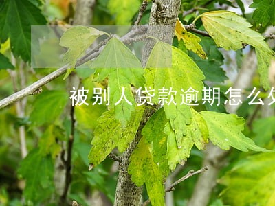 被别人贷款逾期怎么处理 被别人贷款逾期怎么处理