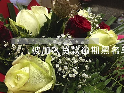 被加入贷款逾期黑名单怎么办 被加入贷款逾期黑名单怎么办