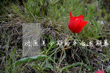 被医美分期的平台逾期暴力催收