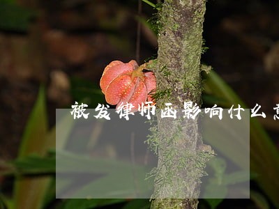 被发律师函影响什么意思