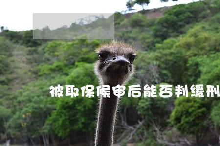 被取保候审后能否判缓刑 被取保候审后能否判缓刑