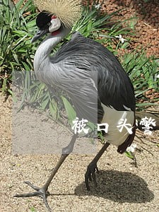 被口头警告会有违法记录 被口头警告会有违法记录