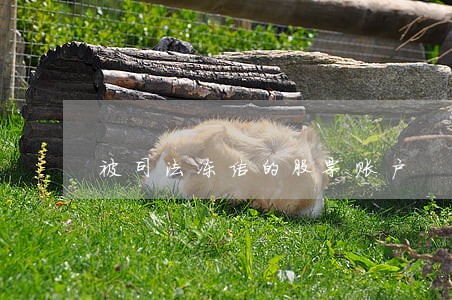 被司法冻结的股票账户