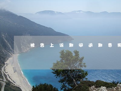 被告上诉期间逾期费用怎么办