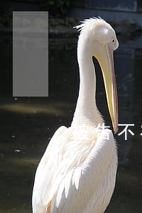 被告不在管辖权法院被起诉