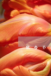 被告不承认利息只还本金 被告不承认利息只还本金
