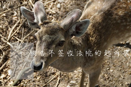 被告不签收法院的起诉状怎么办 被告不签收法院的起诉状怎么办