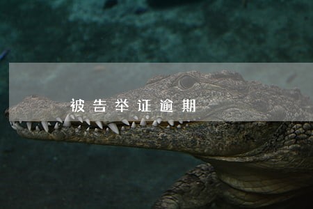 被告举证逾期