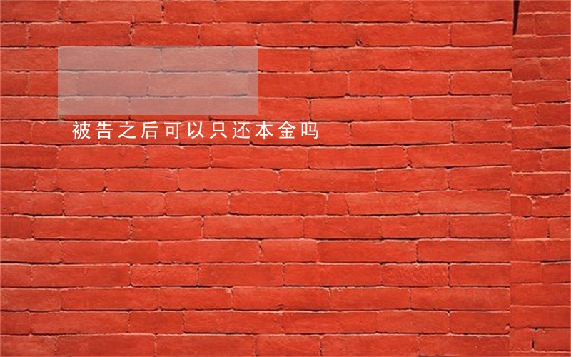 被告之后可以只还本金吗