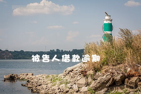 被告人借款逾期 被告人借款逾期