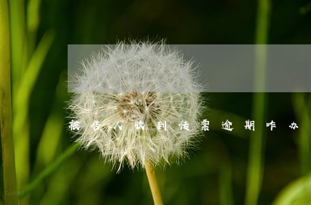 被告人收到传票逾期咋办