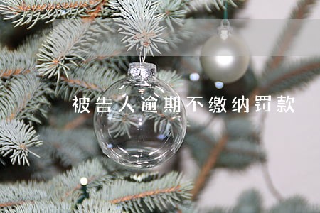 被告人逾期不缴纳罚款 被告人逾期不缴纳罚款