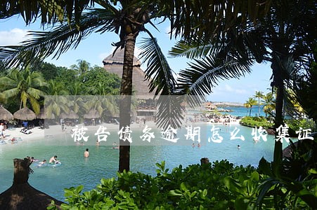 被告债务逾期怎么收集证据 被告债务逾期怎么收集证据