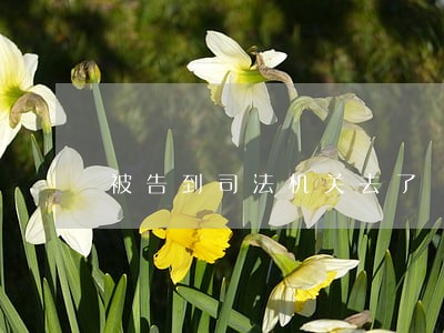 被告到司法机关去了 被告到司法机关去了