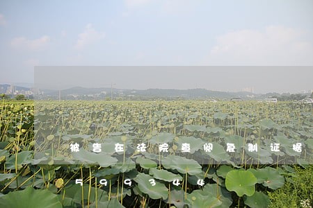 被告在法院查阅复制证据/2023031599344 被告在法院查阅复制证据/2023031599344