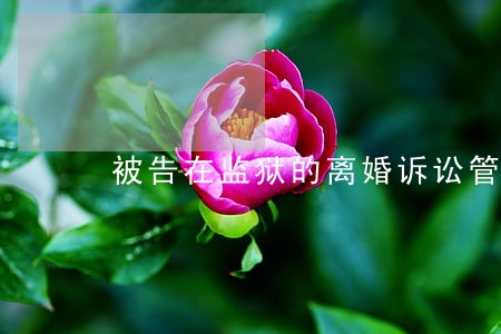 被告在监狱的离婚诉讼管辖 被告在监狱的离婚诉讼管辖