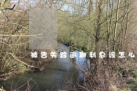 被告失踪逾期利息该怎么算 被告失踪逾期利息该怎么算