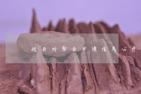 被告对原告申请信息公开逾期 被告对原告申请信息公开逾期