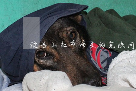被告山杠爷涉及的宪法问题