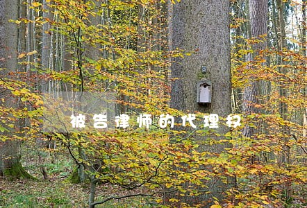 被告律师的代理权 被告律师的代理权