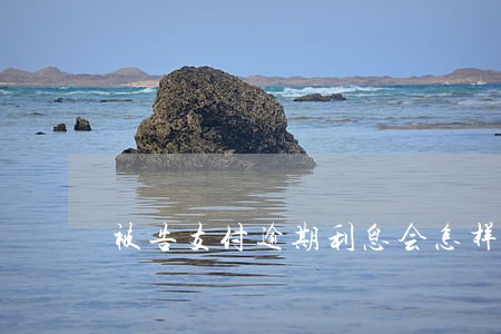 被告支付逾期利息会怎样 被告支付逾期利息会怎样