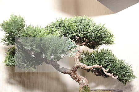 被告欠缴诉讼费 被告欠缴诉讼费
