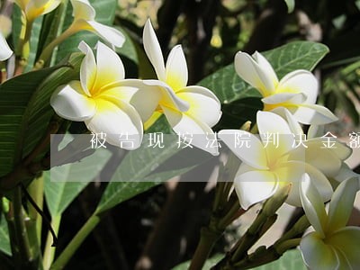 被告现按法院判决金额一次性还钱 被告现按法院判决金额一次性还钱
