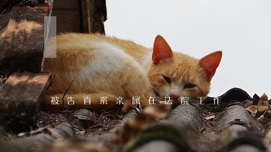 被告直系亲属在法院工作 被告直系亲属在法院工作