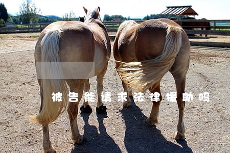 被告能请求法律援助吗 被告能请求法律援助吗