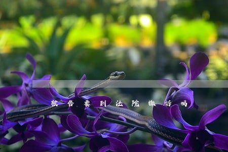 被告要到法院撤诉吗 被告要到法院撤诉吗